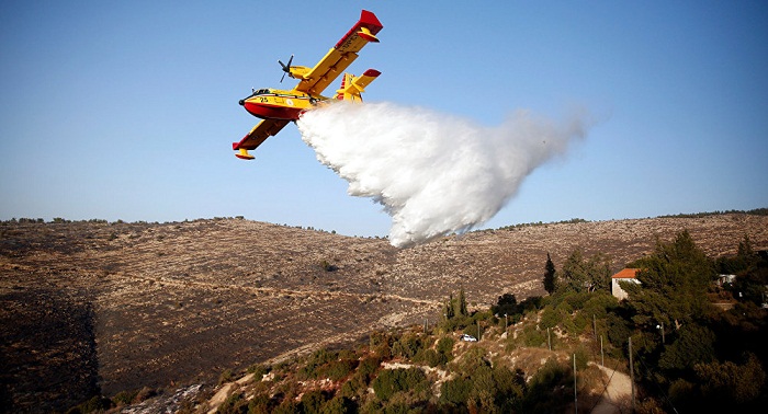 Israel ends international operation on extinguishing wildfires - forest fires 